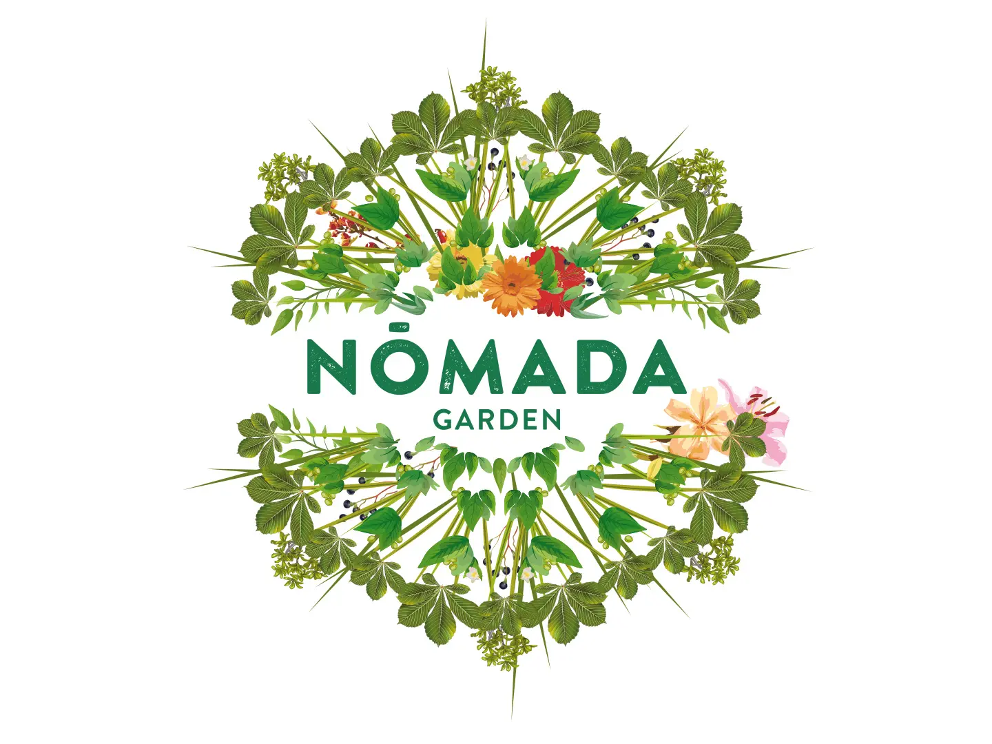 Grupo Nómada
